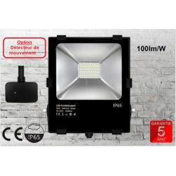 Projecteur LED Fin à Détecteur 30W 2500lm (170W) 100° Noir - Blanc du Jour  6000K